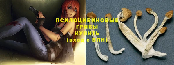 спайс Абаза