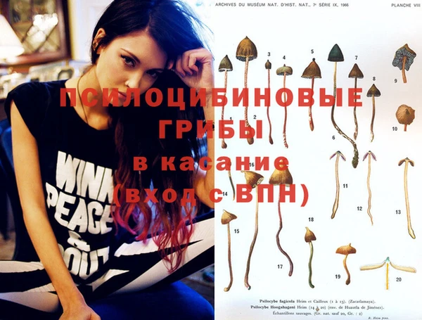 спайс Абаза